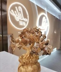 点击看大图 -Lily纤美·科技减脂中心