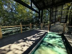 -云碧峰国家森林公园