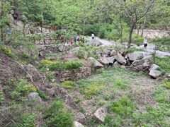 -大岭沟猕猴桃谷风景区