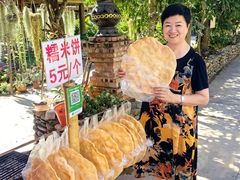 -西双版纳傣族园