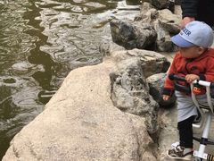 -燕塞湖鸟语林景区