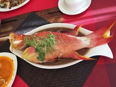 毛里求斯小四川饭店-毛里求斯小四川餐厅总店