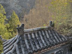 -白水寺森林公园