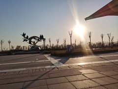 -南大港湿地风景区