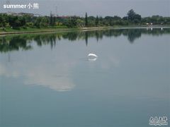 -白鹭洲公园