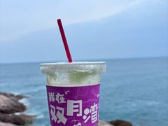 -广东惠东海龟国家级自然保护区