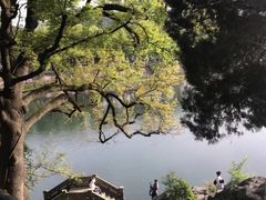 -蒋氏故居