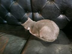 -MIKAKU(万达广场上海宝山店)