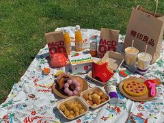 -合肥滨湖国家森林公园