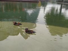 -西安曲江寒窑遗址公园