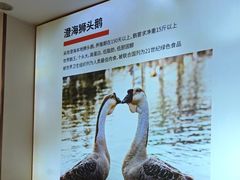 -陆记鹅庄·潮汕菜·狮头鹅(大仟里店)