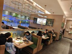 -佬肥猫(七宝宝龙店)