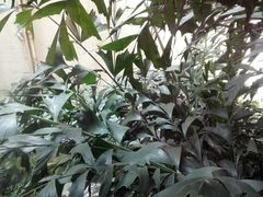 景观位-百乐门喜宴(海珠广场华厦店)