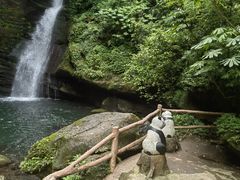 -碧峰峡风景区