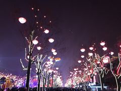 -大雁塔北广场音乐喷泉