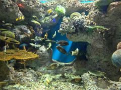 -福州罗源湾海洋世界旅游区