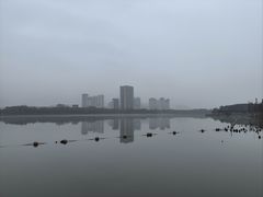 -飞来湖湿地公园