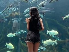 -波塞冬旅游度假区