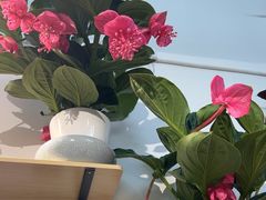 -FEI FEI FLOWER鲜花店·气球派对·宝宝宴布置(虹口德必运动Loft店)