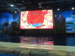 -华夏文旅海洋公园