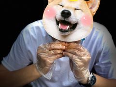 -张记焖窑·十五年专注焖烤(雍和宫店)