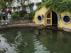 -南宫五洲植物乐园