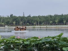 -长春市南湖公园