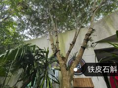 -野象谷景区