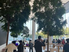 -Apple零售店(济南恒隆广场店)