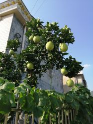 -Zoolung Zoolung动物主题公园(海信广场店)