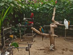 -南宫五洲植物乐园