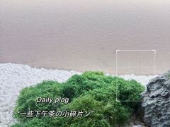 -宫七SPA·高端Massage(浦东大道店)