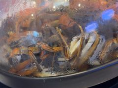 -半岛听涛蒸汽海鲜自助(K11店)