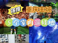 -重庆欢乐海底世界