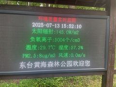 -黄海国家森林公园