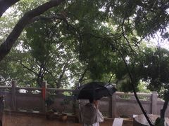 -抚仙湖禄充风景区