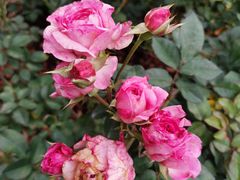 -人民公园(罗湖区)