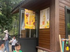 -东明山森林公园
