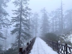 -瓦屋山景区
