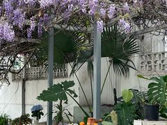 -柠檬花院烤肉·会议团建·聚会·求婚(三圣乡店)