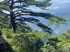-黄山风景区