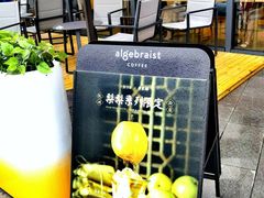 -代数学家algebraist(仙林金鹰店)