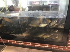 -肥鱼屯活鱼锅(惠工街店)