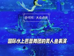 -正佳极地海洋世界