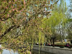 -元大都城垣遗址公园