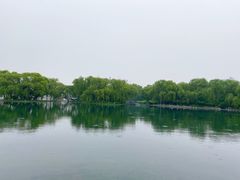 -百脉泉景区