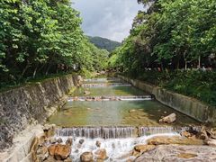 -广州白江湖森林公园