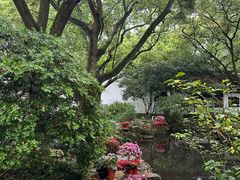 -上海醉白池公园