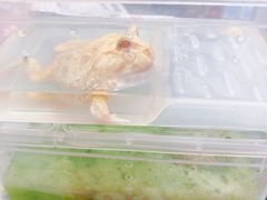 -蛙麻蛙辣炭火蛙锅(南环大街店)