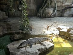 -泉城欧乐堡海洋极地世界